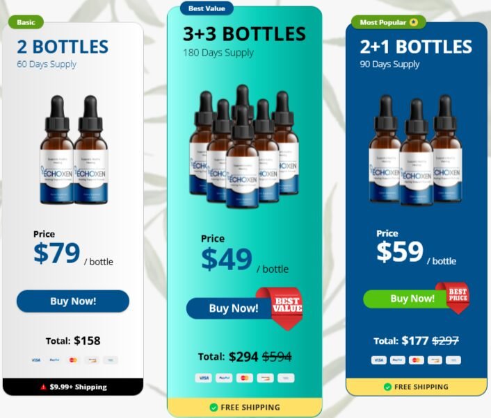 EchoXen price
