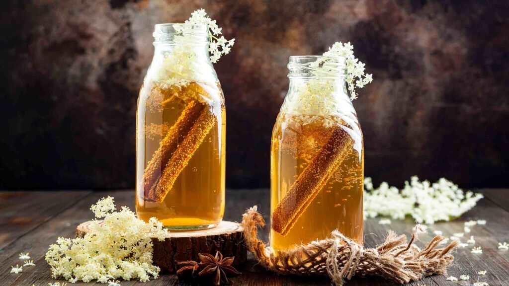 Kombucha The Fermented Tea Elixir